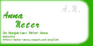 anna meter business card
